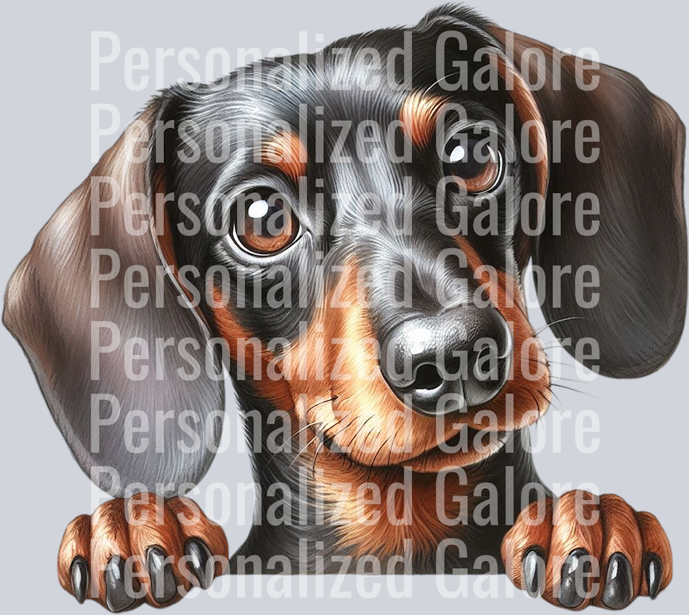 dog_392