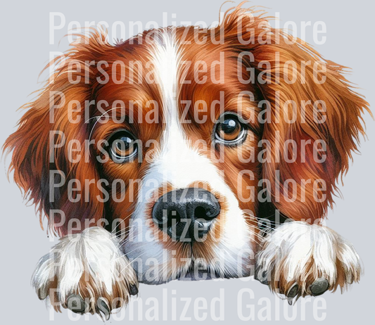 dog_438