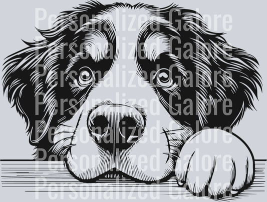 dog_227