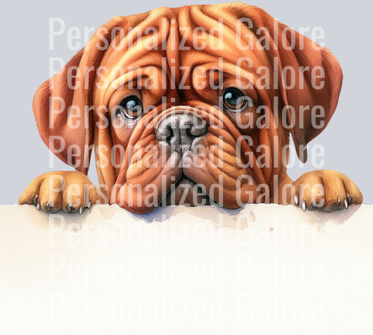 dog_374
