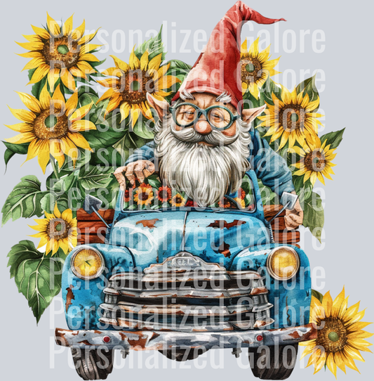 Gnome_032