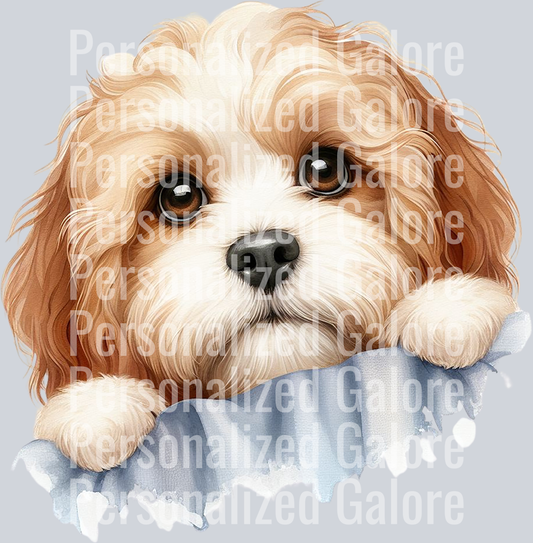 dog_419