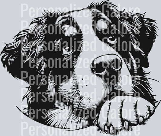 dog_228