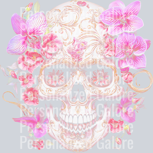 transparent_026